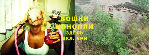 ПСИЛОЦИБИНОВЫЕ ГРИБЫ Саяногорск