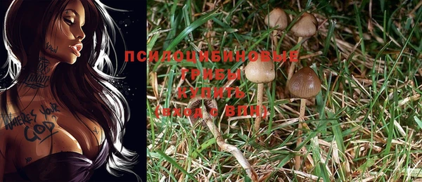 MESCALINE Сафоново
