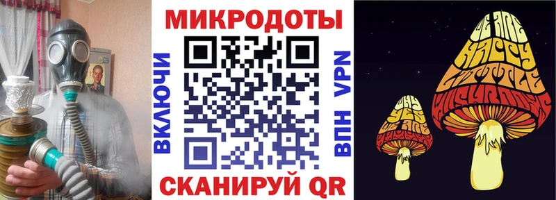 Псилоцибиновые грибы прущие грибы  Бологое 