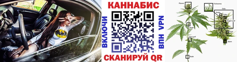 Конопля конопля  Бологое 